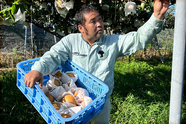 梨生産者の高見さん（高見果樹園 代表）