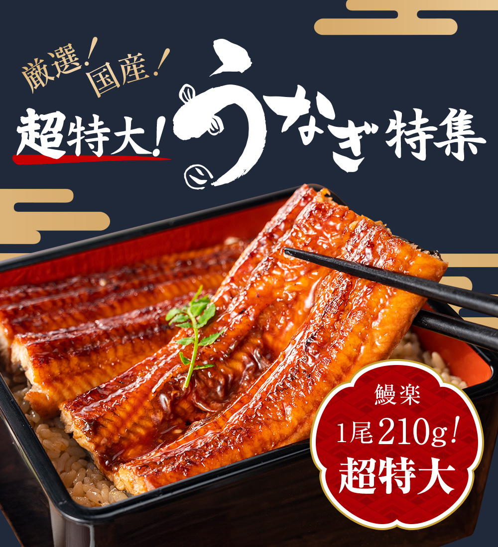 超特大!うなぎ特集