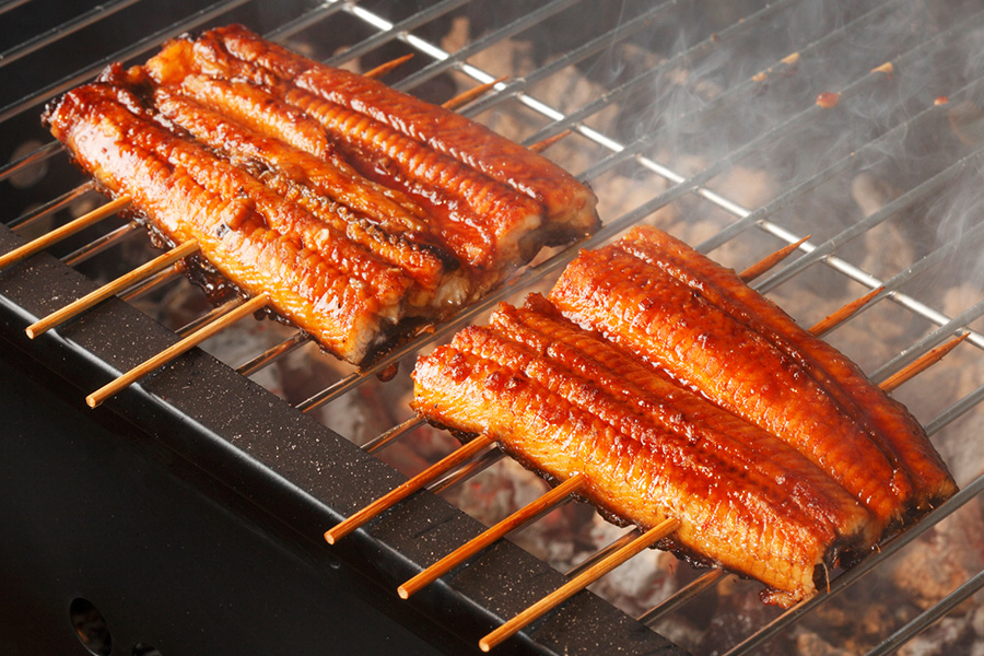 7/24・8/5は土用の丑の日！