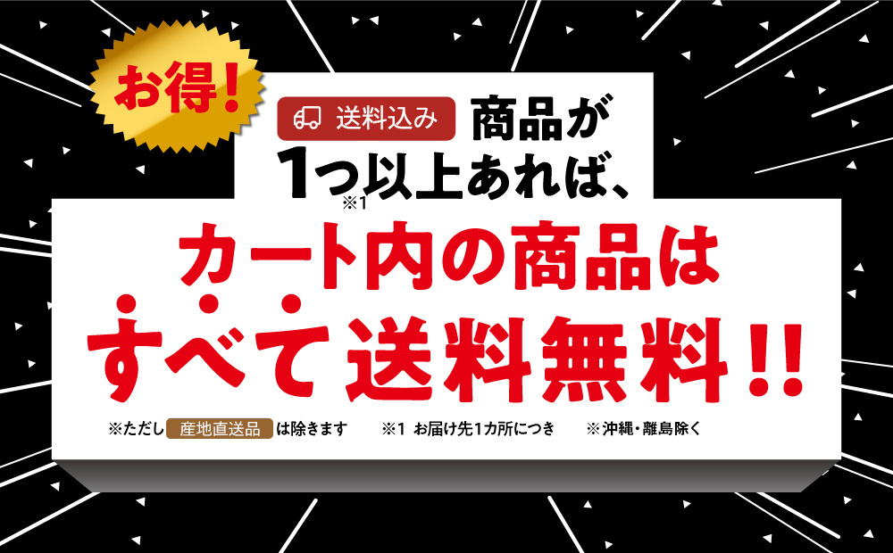 送料無料
