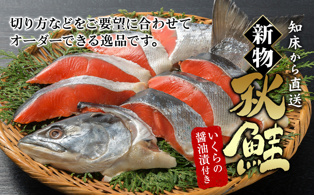 知床産の新物秋鮭、いくら付き！ 