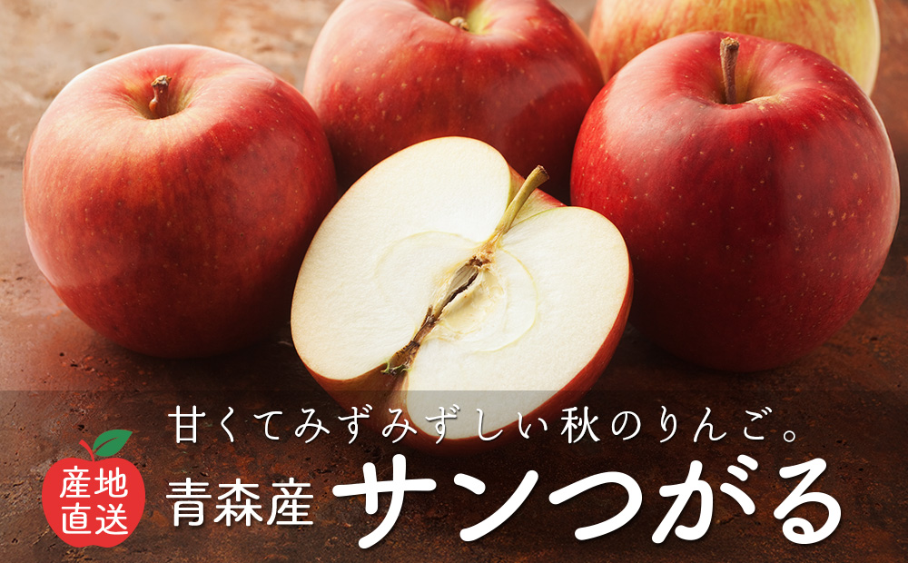 　秋のジューシーりんご「サンつがる」青森産 