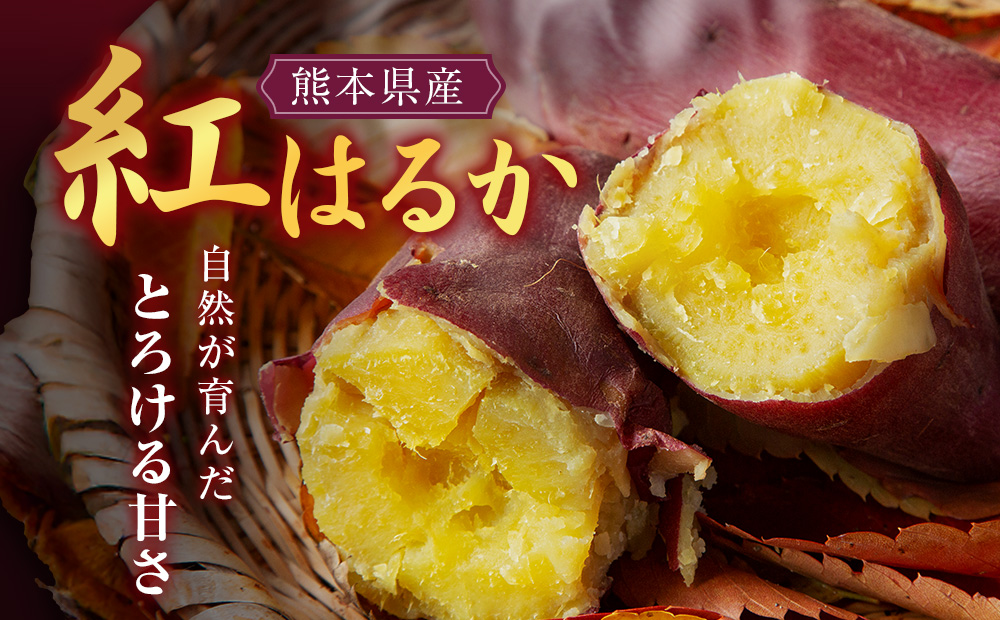 熊本県産さつまいも紅はるか