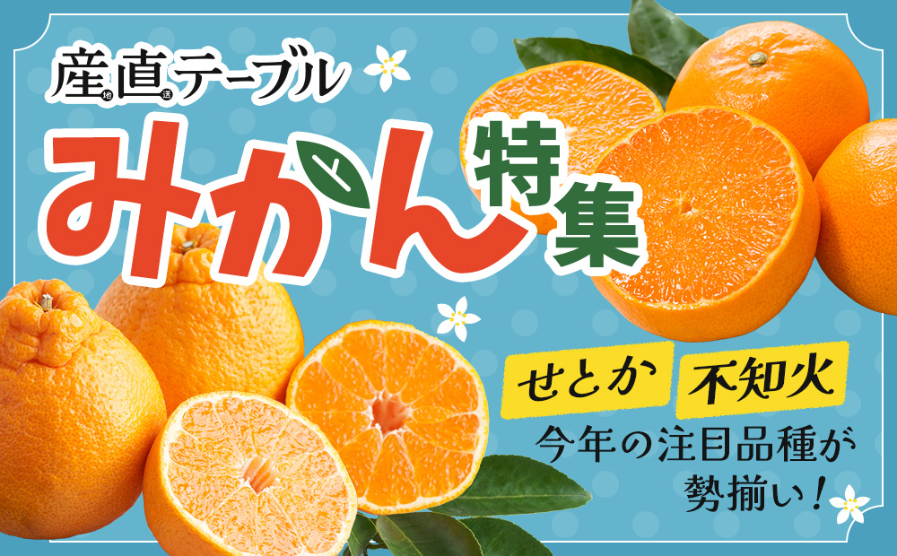 みかん特集　せとか　不知火