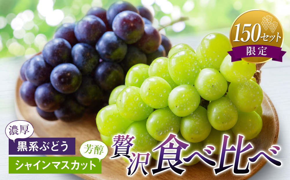 福岡県産 シャインマスカット＆黒系ぶどう2種セット