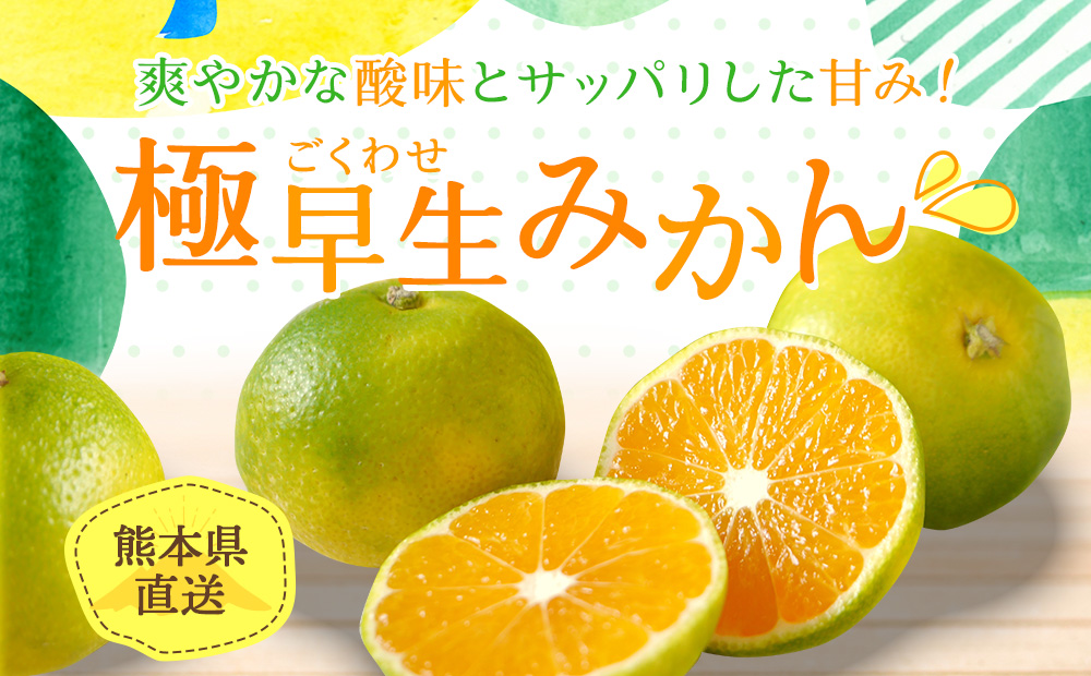 熊本県産 坂本さんちの 極早生みかん 