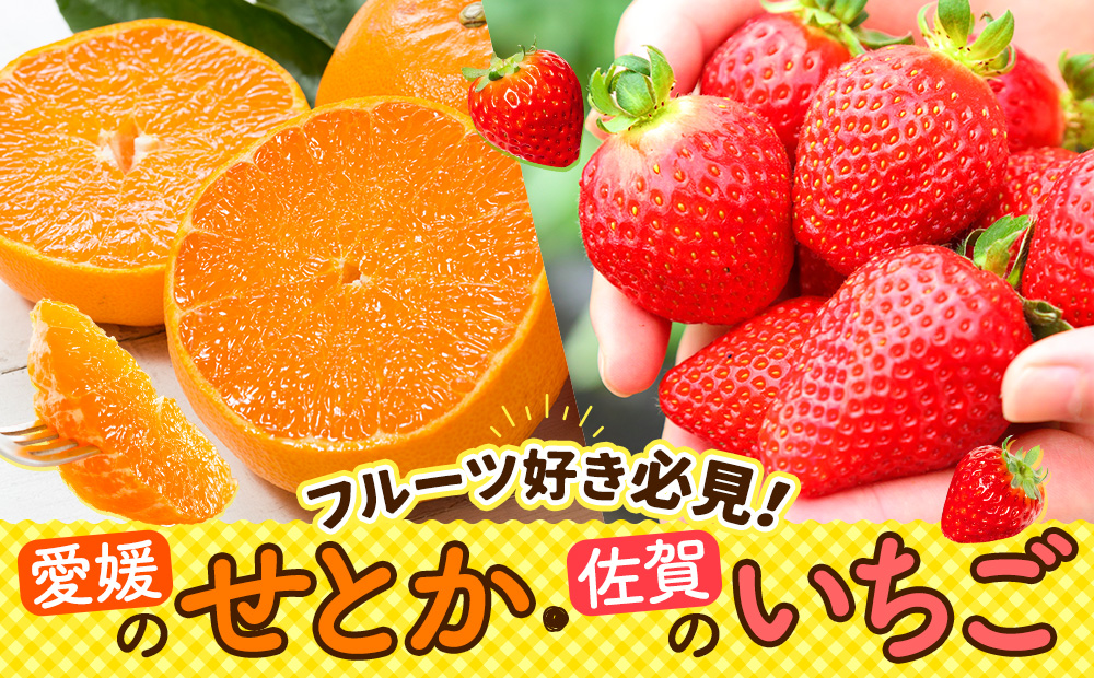 /images/index/slider-setoka_ichigo.jpg