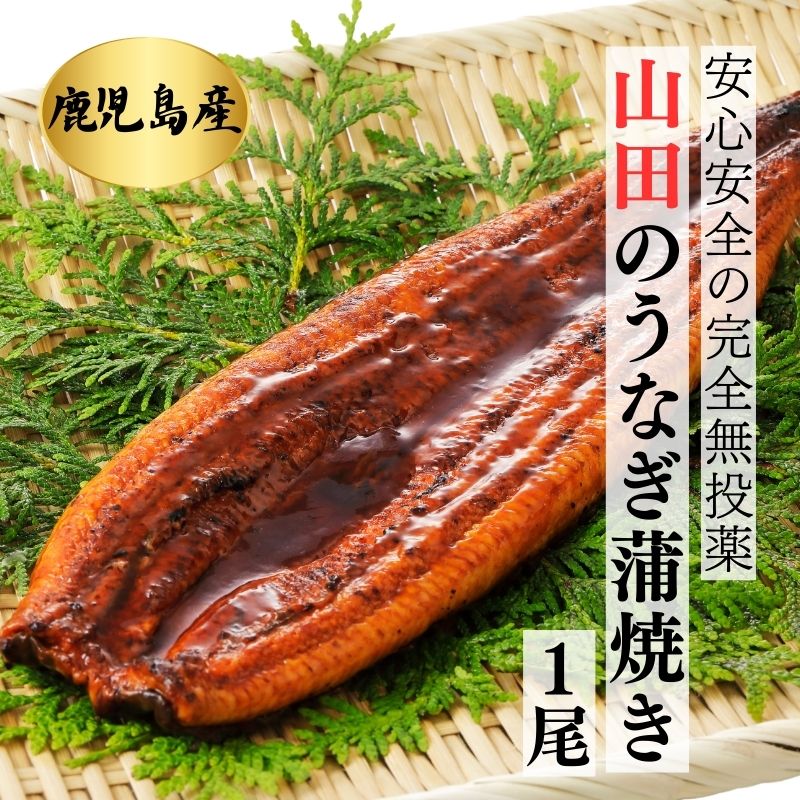 地下水育ち「山田のうなぎ」蒲焼き【長焼】110g前後×1尾 鹿児島産 産直テーブル