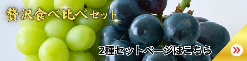 リンク付きの画像