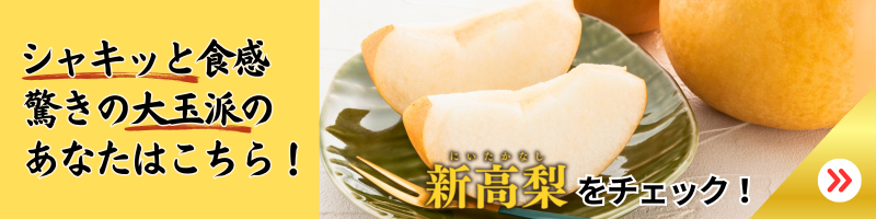 リンク付きの画像
