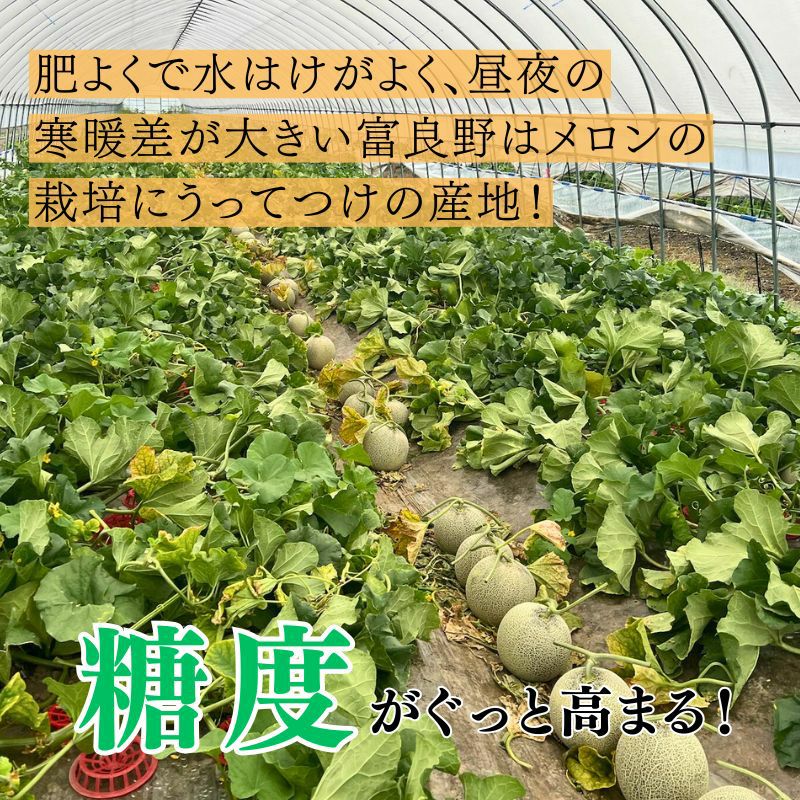 北海道産 中山さんちの富良野メロン 赤肉メロン 特大2kg×1玉（常温