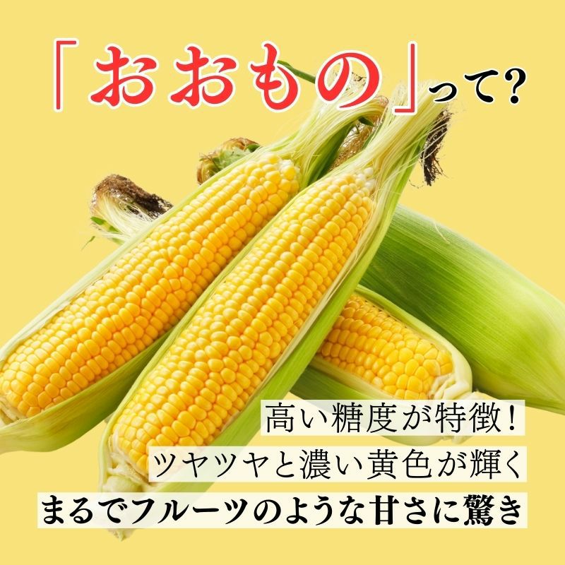 北海道産とうもろこし「おおもの」L 10本【冷蔵】 産直テーブル