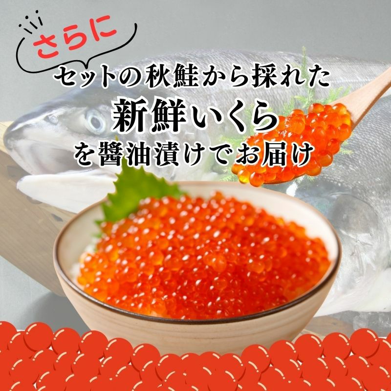 時鮭 1尾 筋子醤油２ｋ プロフィール見てください 時鮭 1尾 筋子醤油2k プロフィール見てください 時鮭 1尾 筋子醤油2k