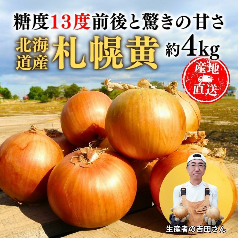 北海道産 玉ねぎ 札幌黄 約4kg （18～24玉前後） 産直テーブル