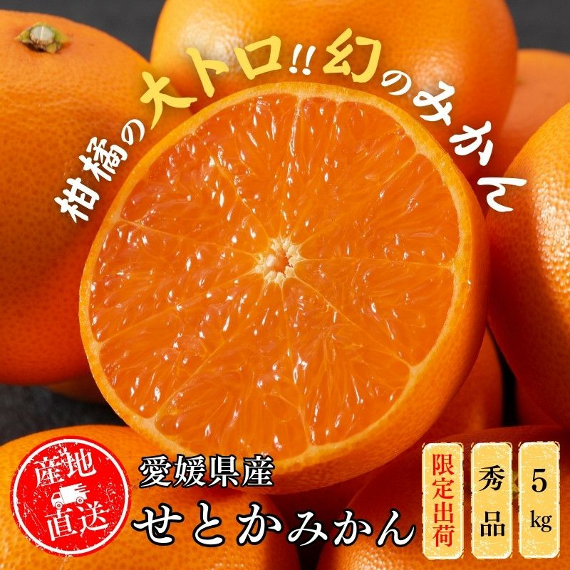 愛媛県産 せとか みかん 5kg 秀品 L～3Lサイズ（約16～27玉