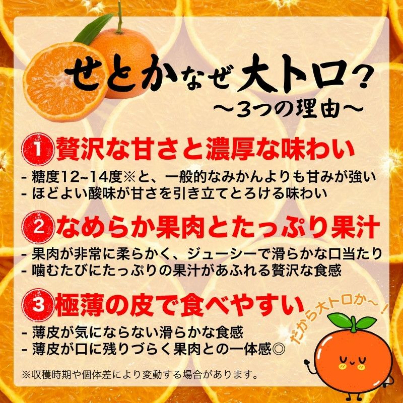 愛媛県産 せとか みかん 5kg 秀品 L～3Lサイズ（約16～27玉