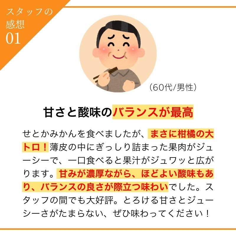 愛媛県産 せとか みかん 5kg 秀品 L～3Lサイズ（約16～27玉