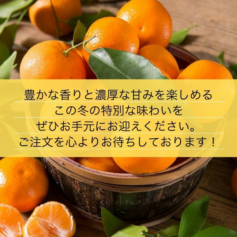 愛媛県産 せとか みかん 5kg 秀品 L～3Lサイズ（約16～27玉