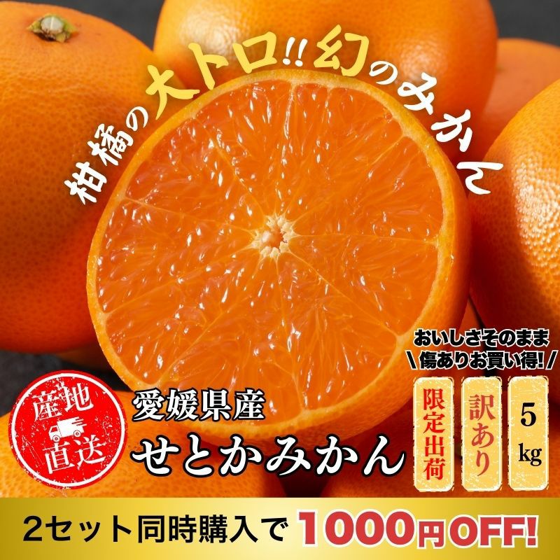 まとめ買い割引】愛媛県産 せとか みかん 5kg 家庭用訳あり L～3L