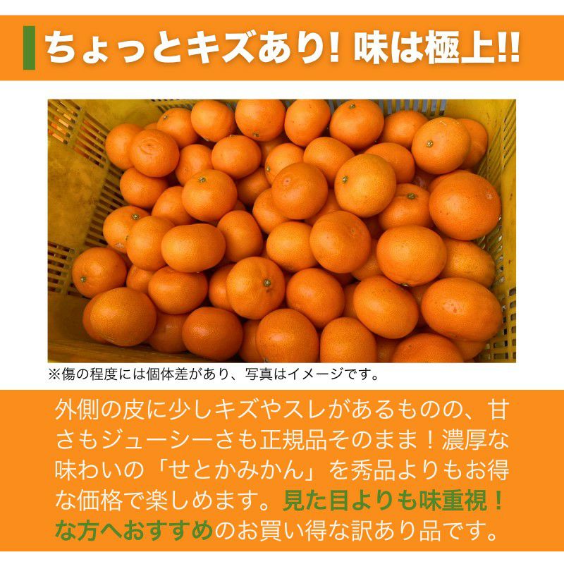 まとめ買い割引】愛媛県産 せとか みかん 5kg 家庭用訳あり L～3L