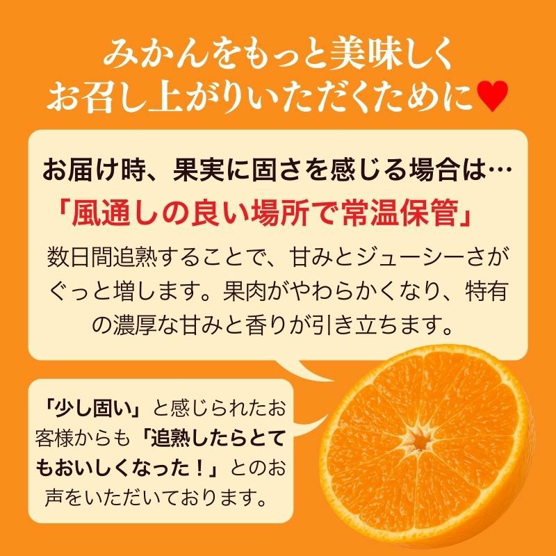 まとめ買い割引】愛媛県産 せとか みかん 5kg 家庭用訳あり L～3L