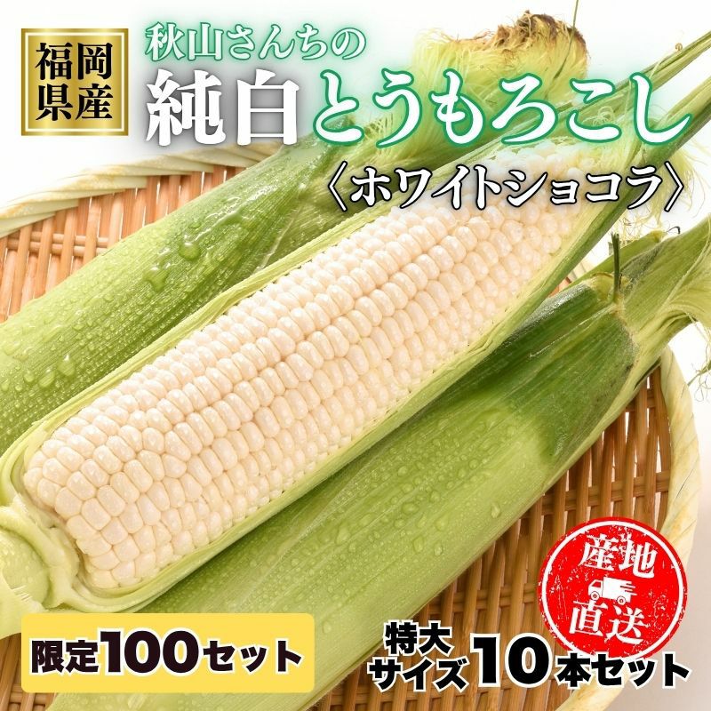 x10512-513-660-8.jpg
