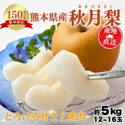 とうもろこしさん専用 Amazon | LIFE DRINK COMPANY コーン茶 北海道産 とうもろこし