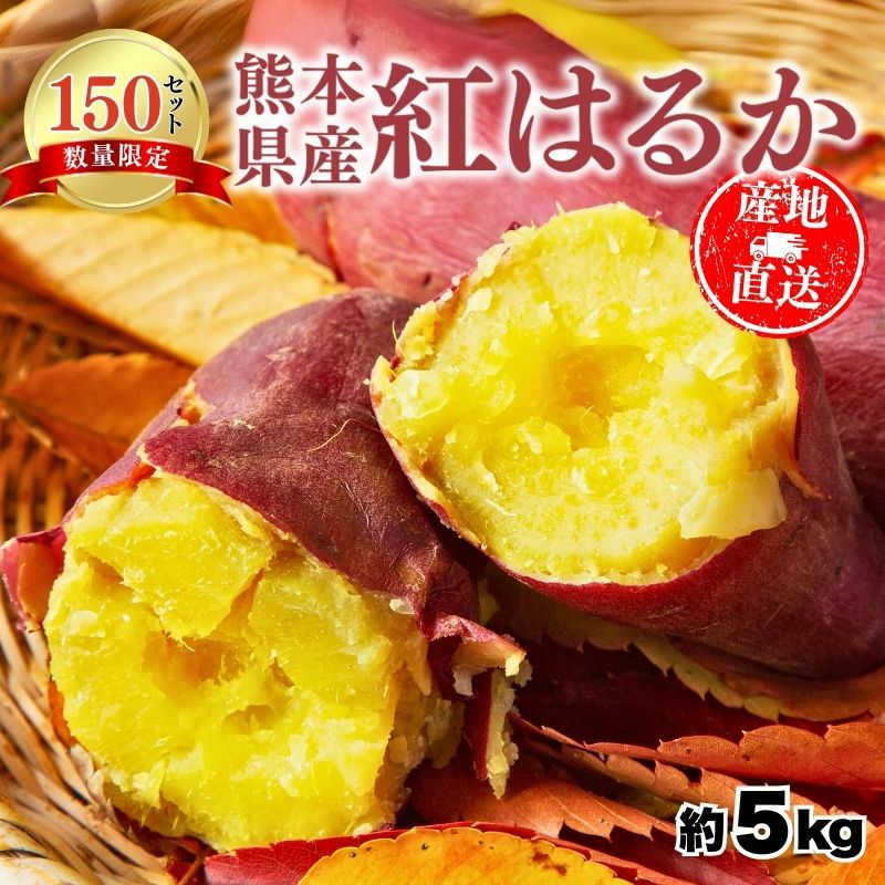熊本県県産 新物紅はるかA品Mサイズ20キロ 熊本県