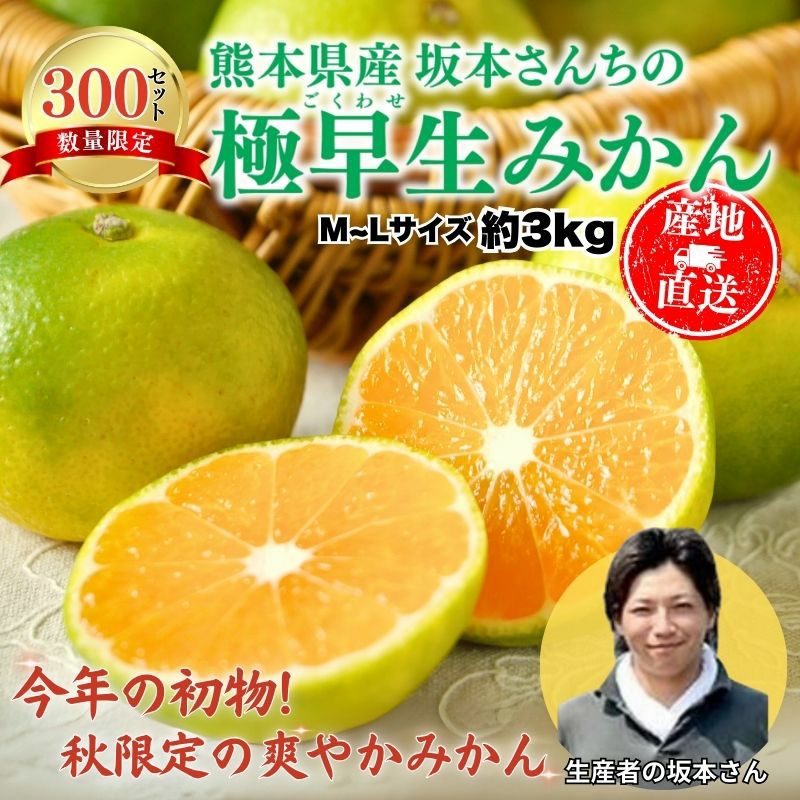 限定300セット】熊本県産 坂本さんちの 極早生みかん（ごくわせ） 約