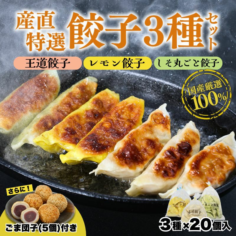 国産 産直特選餃子3種セット＋ごま団子付き
