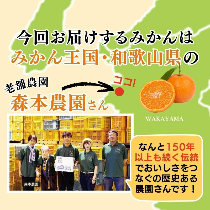 温州みかん 和歌山県産 森本農園さんの「くちどけみかん」 4kg 産直