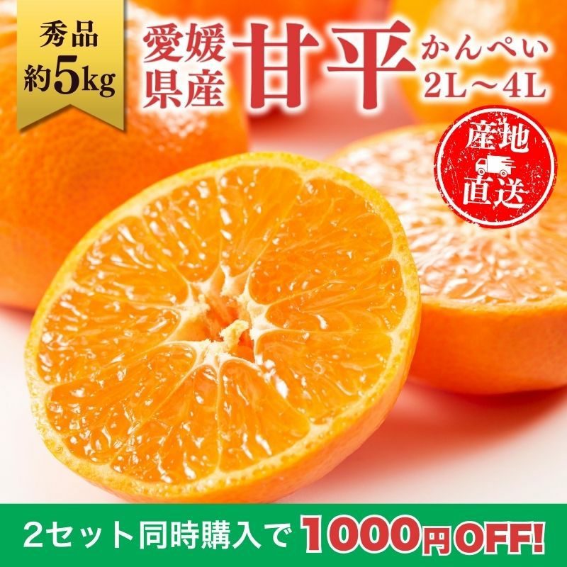まとめ買い割引】愛媛県産 甘平（かんぺい） 秀品 5kg 2L～4L 大玉