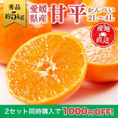 愛媛産せとかみかん　秀5kg！ Amazon.co.jp: 希望の島 せとか 家庭用 サイズ込 愛媛 中島産 みかん
