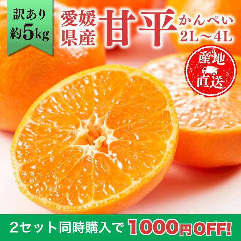 まとめ買い割引】愛媛県産 甘平（かんぺい） 訳あり 5kg 2L～4L 大玉