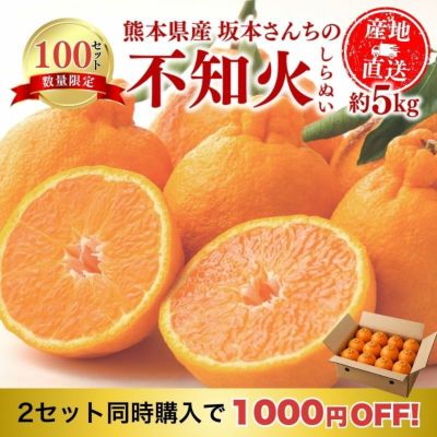 まとめ買い割引】愛媛県産 せとか みかん 5kg 秀品 L～3Lサイズ（約16