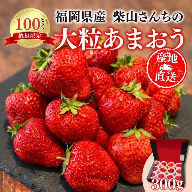 限定100セット】福岡県産 柴山さんちの大粒あまおういちご 約300g前後
