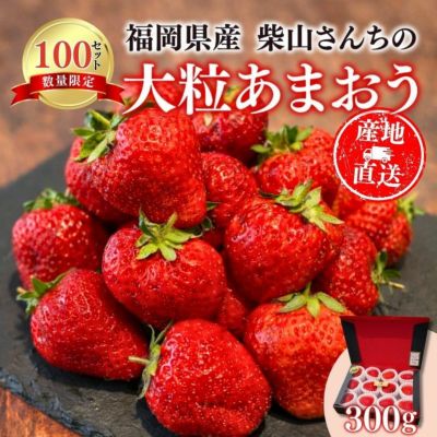 限定100セット】福岡県産 柴山さんちの大粒完熟あまおう いちご 約300g