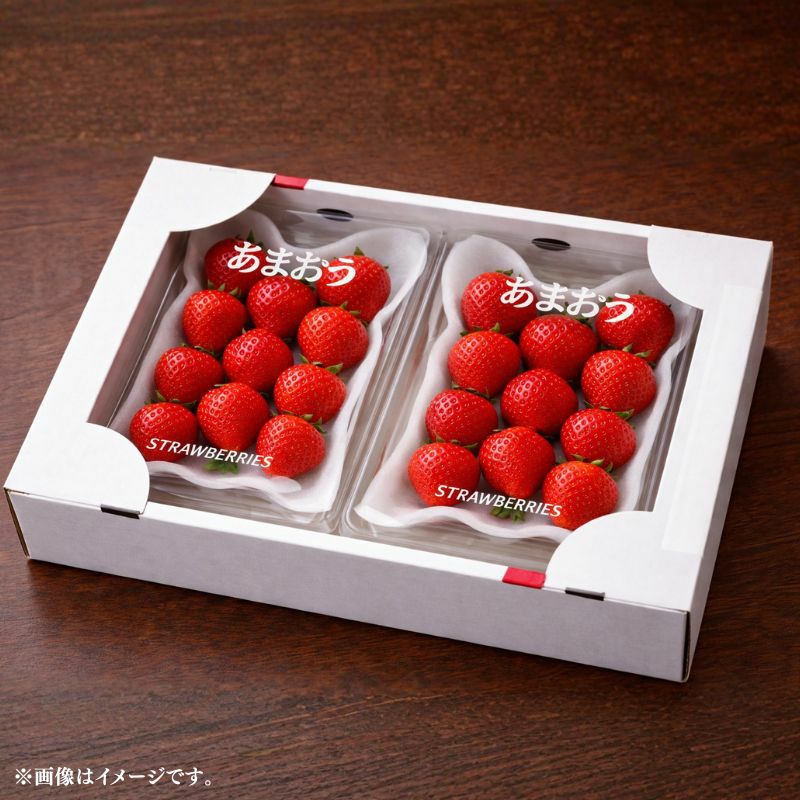 まとめ買い割引】【限定100セット】福岡県産 あまおういちご DX 平詰め